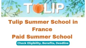 Tulip Summer School in France 2025 – Fully Funded